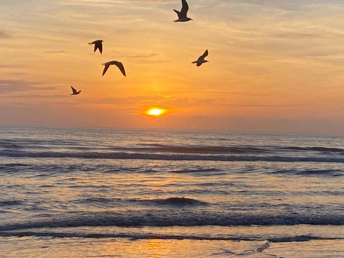 I Need A Vacay Now! Remodeled Studio Daytona Beach Esterno foto